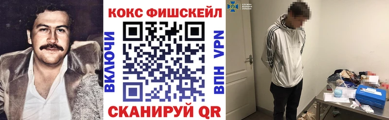 Купить закладки  Закаменск  Cocaine FishScale 