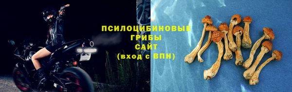 PSILOCYBIN Зеленокумск