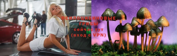 ПСИЛОЦИБИНОВЫЕ ГРИБЫ Зеленодольск