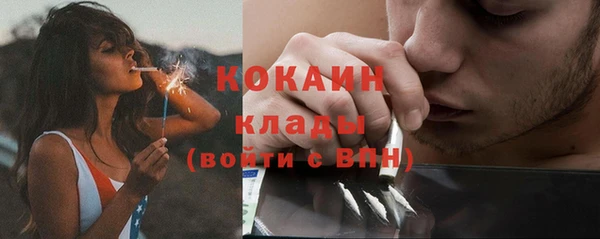 ПСИЛОЦИБИНОВЫЕ ГРИБЫ Зеленодольск