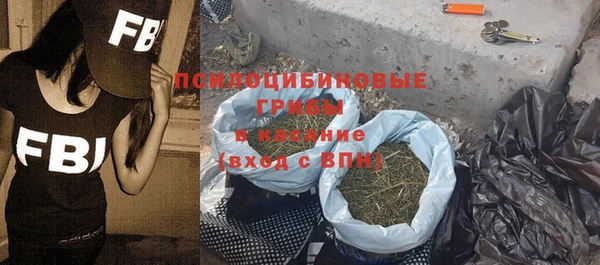 PSILOCYBIN Зеленокумск