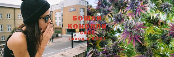 ПСИЛОЦИБИНОВЫЕ ГРИБЫ Зеленодольск