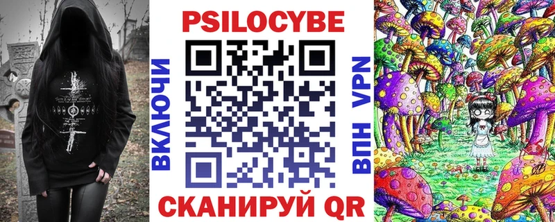 Псилоцибиновые грибы Psilocybine cubensis  Купить где  Закаменск 