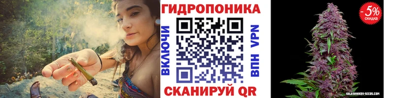 МАРИХУАНА гибрид  Купить где  Закаменск 